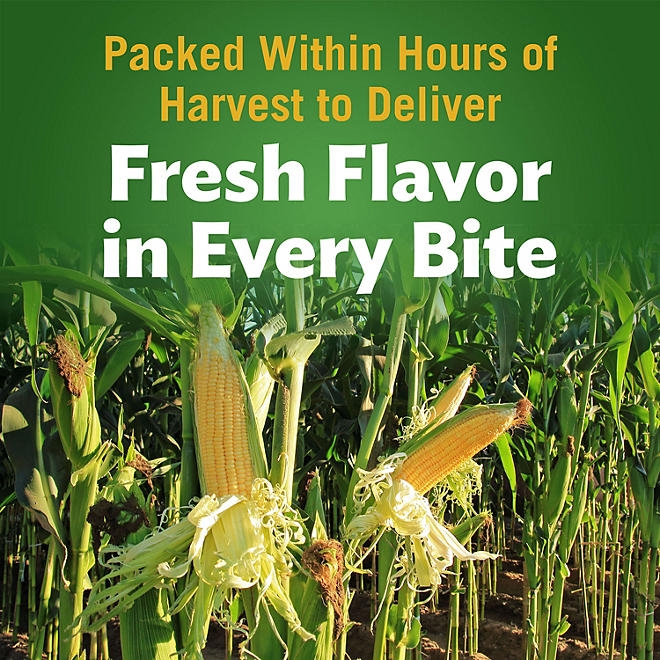 Del Monte Golden Sweet Whole Kernel Corn, 15.25 oz., 8pk. - Image 7