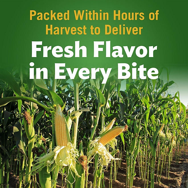 Del Monte Whole Kernel Corn, 106 oz. - Image 5