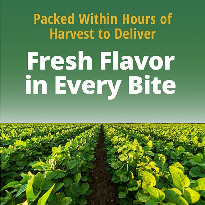 Del Monte Fresh Cut Blue Lake French Style Green Beans, 14 oz., 8 pk. - Image 7