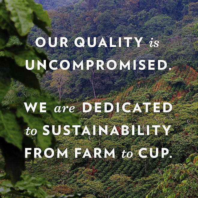 Community Coffee Ground Café Special, 40 oz. - Image 7