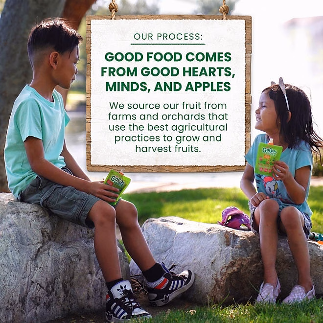 GoGo SqueeZ Applesauce Pouches, Apple Apple, 3.2 oz., 32 ct. - Image 7