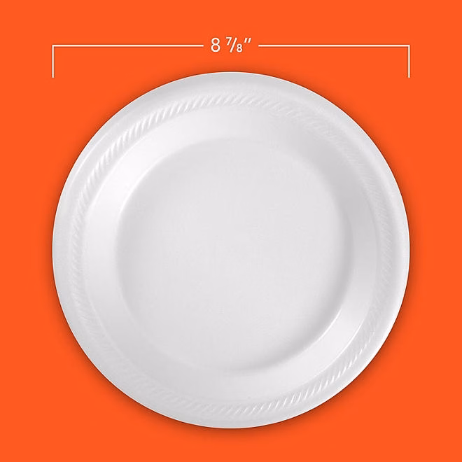 Hefty Supreme Foam Disposable Lunch Plates, 8 7/8", 250 ct. - Image 3