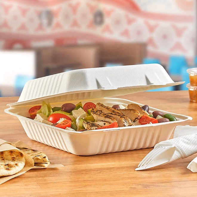 Hefty ECOSAVE 1-Compartment Hinged Lid Container 9" x 9", 50 ct. - Image 6