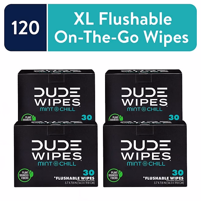 DUDE WIPES XL On-the-Go Flushable Wipes, Mint Chill, 4 ct., 120 wipes - Image 3