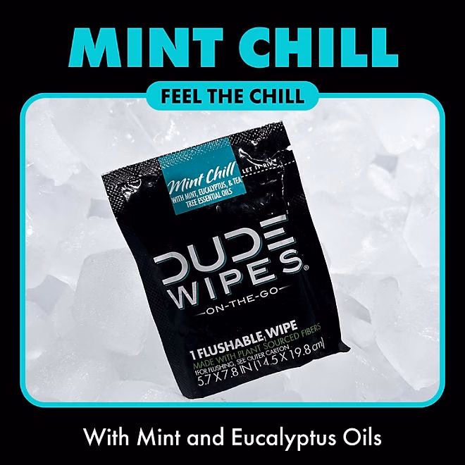 DUDE WIPES XL On-the-Go Flushable Wipes, Mint Chill, 4 ct., 120 wipes - Image 5