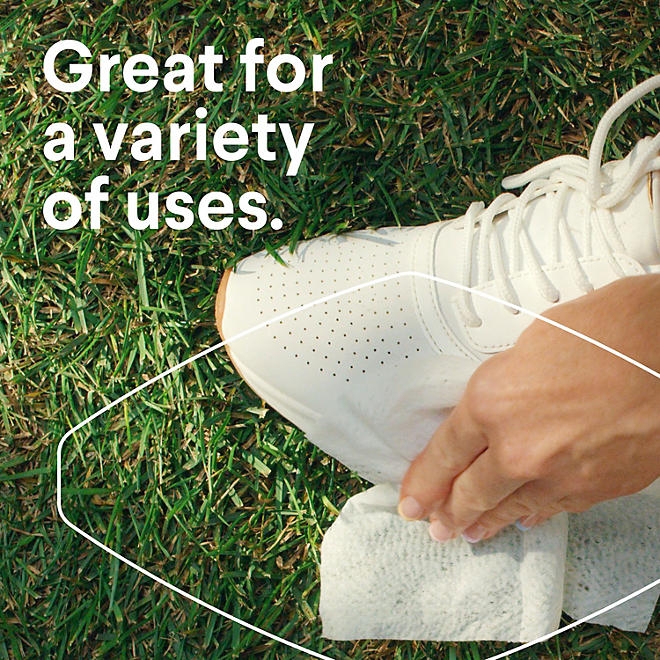 Clorox Disinfecting Cleaning Wipes, Variety Pack, 5 ct., 425 wipes - Image 7