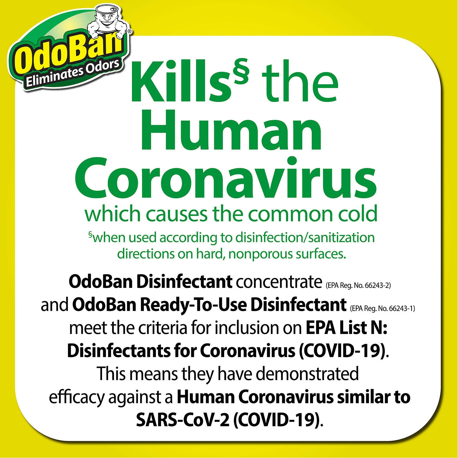 OdoBan Disinfectant Spray, 14.6 oz./can, 6 pk., Choose Scent - Image 4