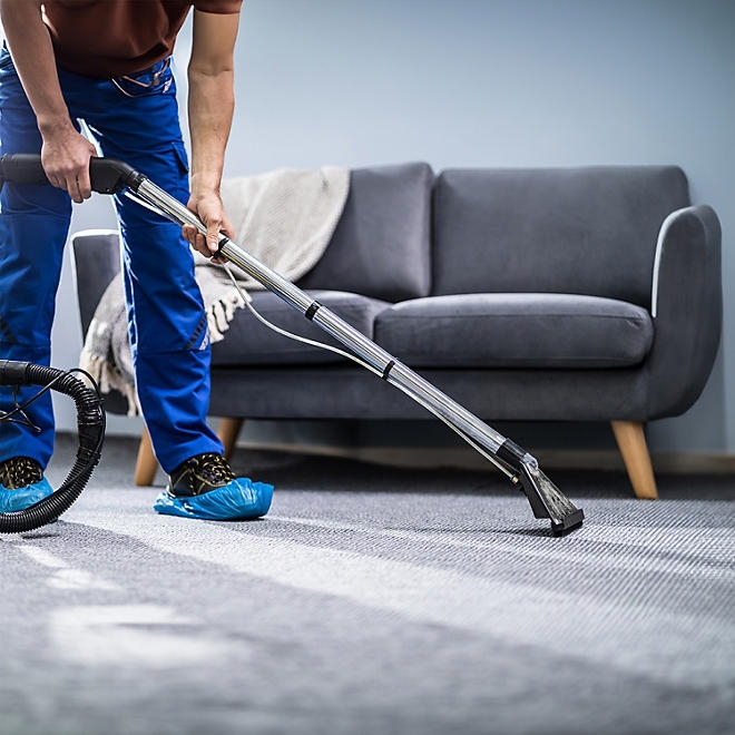 Member's Mark Commercial Carpet Cleaner Concentrate, 1 gal., 4 pk. - Image 8