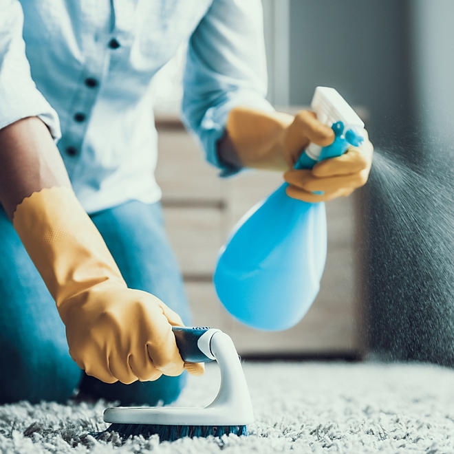 Member's Mark Commercial Carpet Cleaner Concentrate, 1 gal., 4 pk. - Image 9