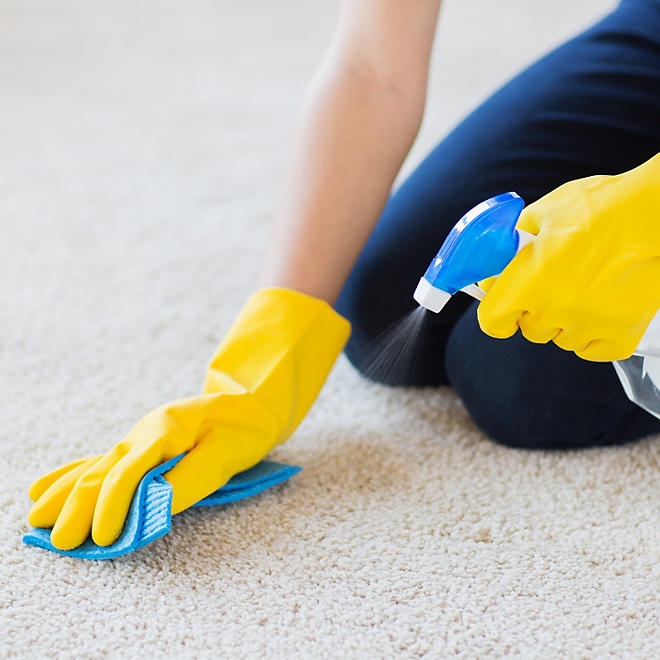 Member's Mark Commercial Carpet Cleaner Concentrate, 1 gal., 4 pk. - Image 10