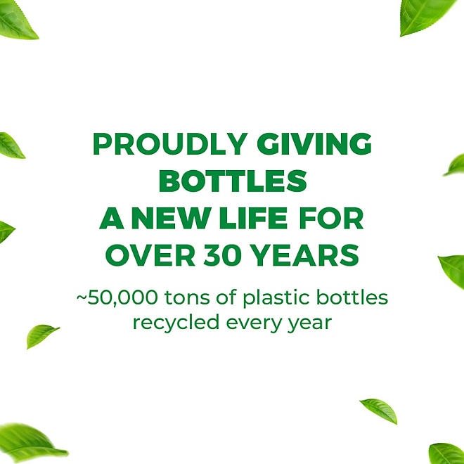 Pinalen 2X Concentrated Multipurpose Cleaner, Fresh Pine, 236 fl. oz. - Image 8