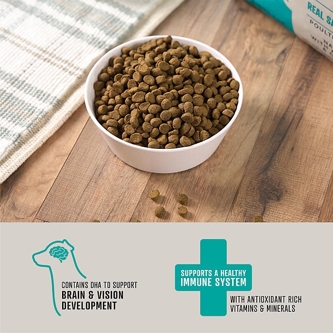 Member's Mark Grain Free Salmon and Sweet Potato Dry Dog Food, 30 lbs. - Image 6