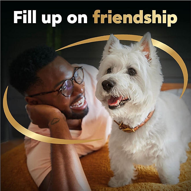 Cesar Classic Loaf in Sauce Wet Dog Food Variety Pack, 3.5 oz., 48 ct. - Image 6