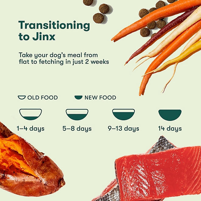 Jinx Salmon, Sweet Potato & Carrot Recipe, Grain Free Dry Dog Food, 23.5 lbs. - Image 7