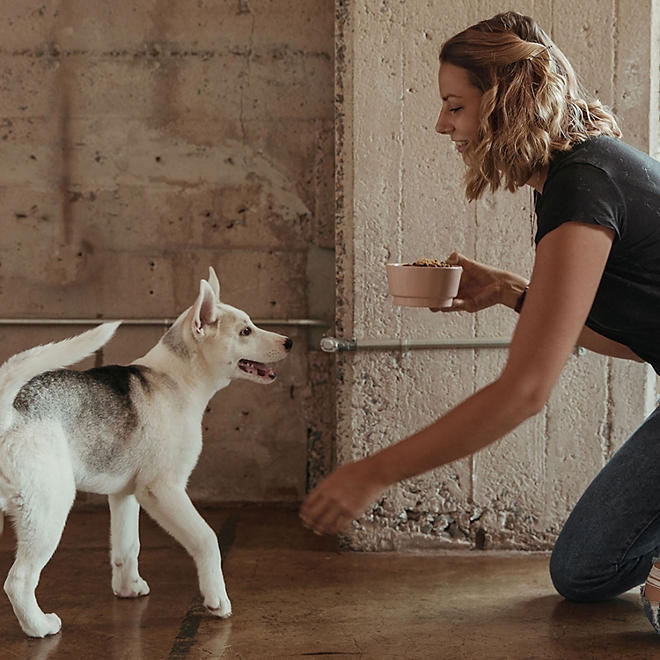 Jinx Salmon, Sweet Potato & Carrot Recipe, Grain Free Dry Dog Food, 23.5 lbs. - Image 8