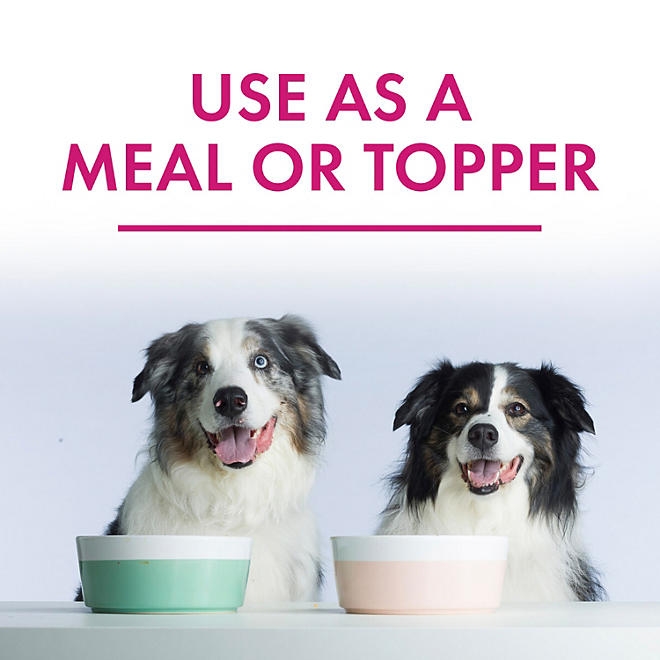 Member's Mark Turkey Stew with Vegetables Wet Dog Food, 11 oz., 24 boxes - Image 5