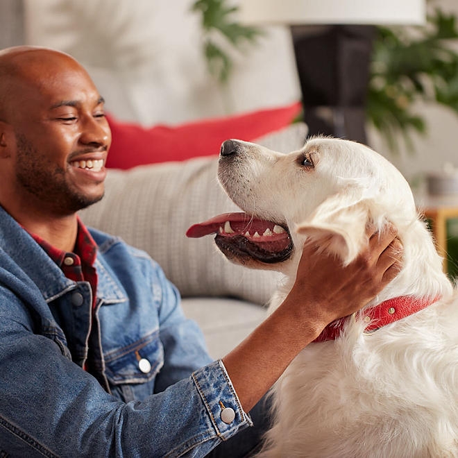 Milk-Bone Original Flavor, Large Crunchy Dog Treat Biscuits, 15 lbs. - Image 8