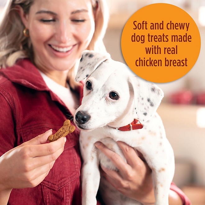 Milk-Bone, Chicken Recipe, Soft & Chewy Dog Snacks, 37 oz. - Image 6