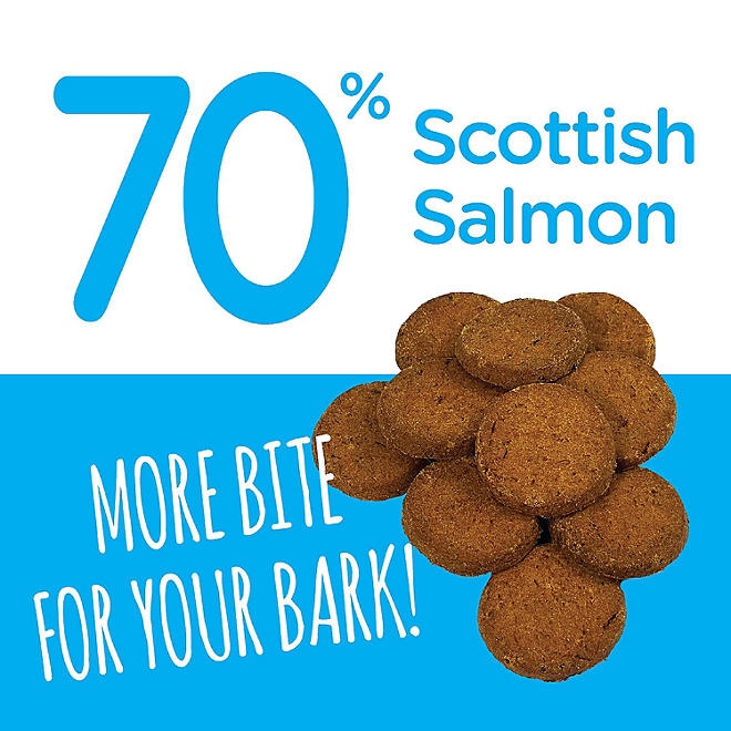 Snif-Snax Scottish Salmon Bites Dog Treats 48 oz. - Image 5