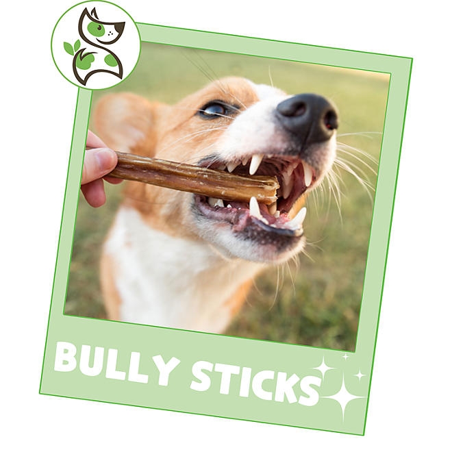 Nature Gnaws, Beef Bully Sticks Dog Chews, 1.3 lbs. - Image 7