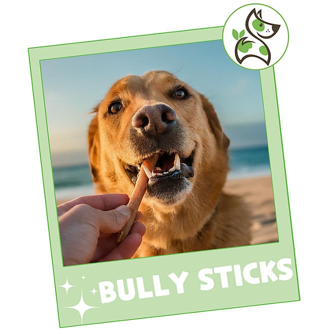 Nature Gnaws, Beef Bully Sticks Dog Chews, 1.3 lbs. - Image 8