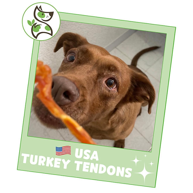 Nature Gnaws, USA Turkey Tendons Natural Dog Chews, 12 oz. - Image 7