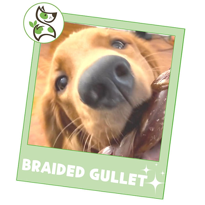 Nature Gnaws Beef Braid Dog Treat Chews, 1 lb. - Image 7