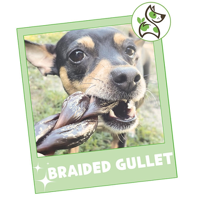 Nature Gnaws Beef Braid Dog Treat Chews, 1 lb. - Image 8