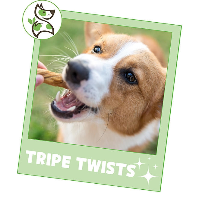 Nature Gnaws Beef Tripe Twists Dog Chews, 1 lb. - Image 7