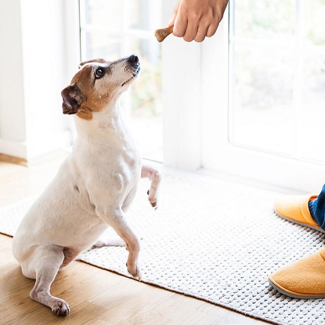 Arm & Hammer, Chicken Flavored Nubbies Dental Treats for Dogs, 139 ct. - Image 8