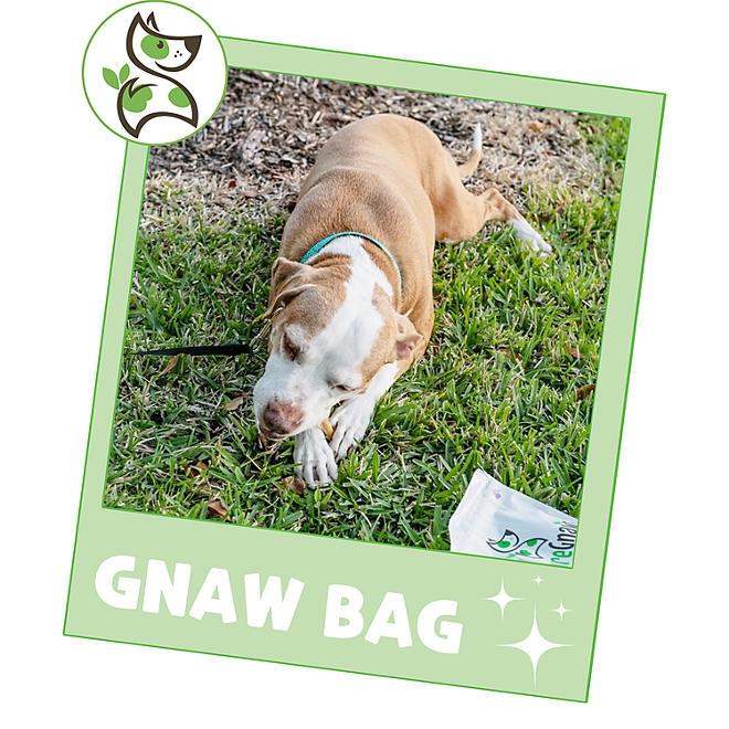 Nature Gnaws Dog Chews, Variety Pack, 19.2 oz., 18 ct. - Image 7