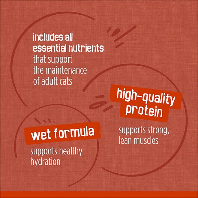 Purina Friskies Gravy Pleasers Variety Pack, Adult Wet Cat Food, 5.5 oz., 60 ct. - Image 9