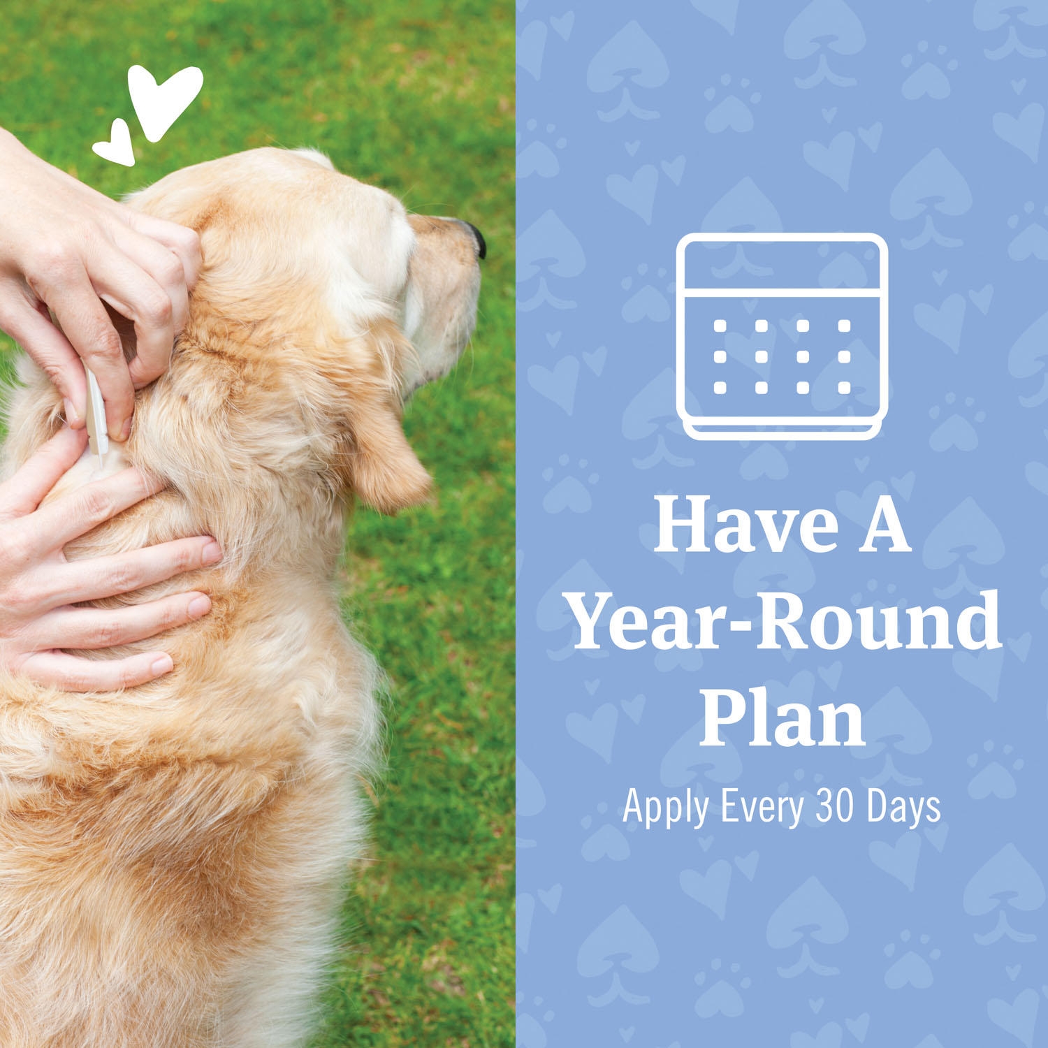 PetArmor Plus Topical Flea and Tick Prevention for Dogs, 8-Month Supply, Choose Size - Image 8