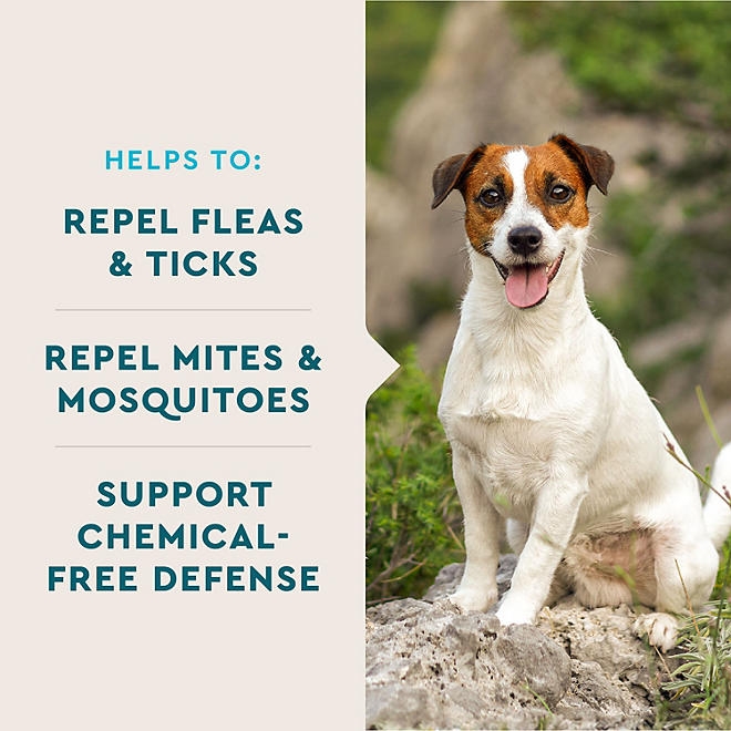 VetIQ Flea & Tick Supplement for Dogs, 240 ct. - Image 3