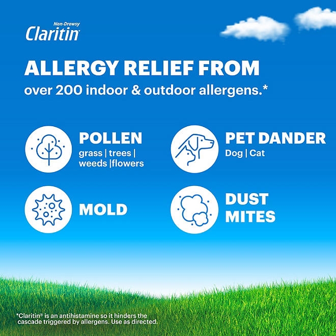 Claritin 24 Hour Non-Drowsy Allergy Medicine Tablets 115 ct. - Image 6