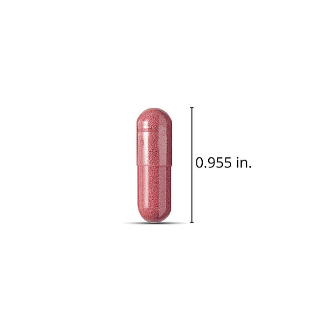 Member's Mark Clinical Strength Cranberry Capsules, 500 mg, 150 ct. - Image 4
