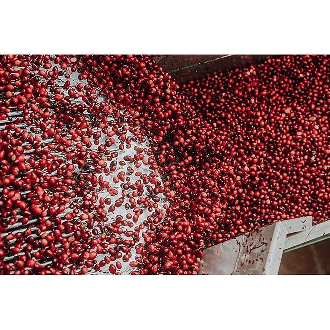 Member's Mark Clinical Strength Cranberry Capsules, 500 mg, 150 ct. - Image 6