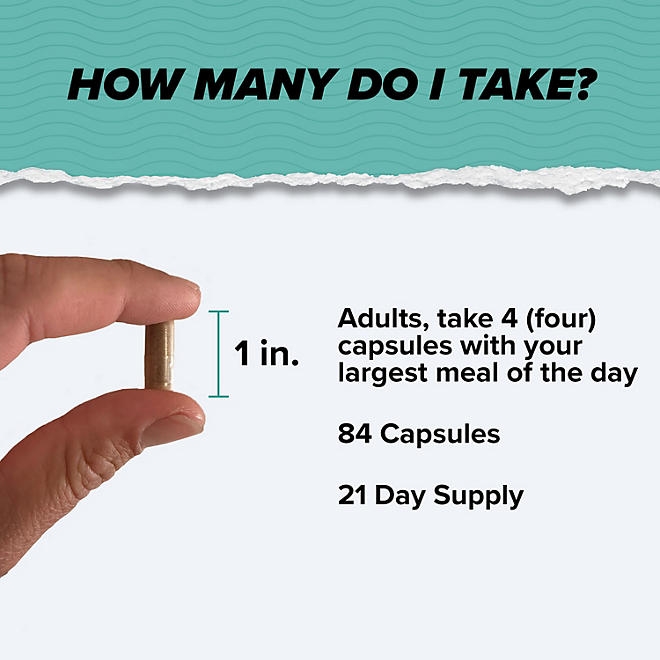 ONNIT Total Gut Health Supplement for Digestive Health, 84 ct. - Image 5