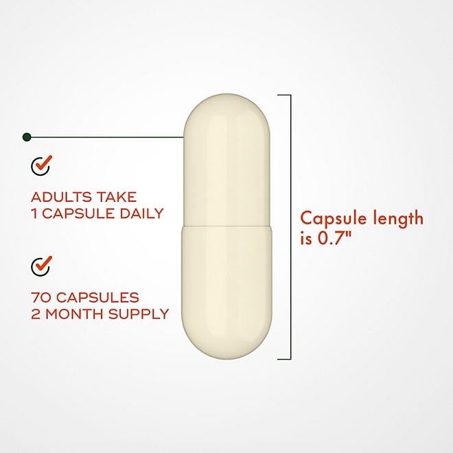 Align Probiotic Digestive Support Advanced Capsules, 70 ct. - Image 4