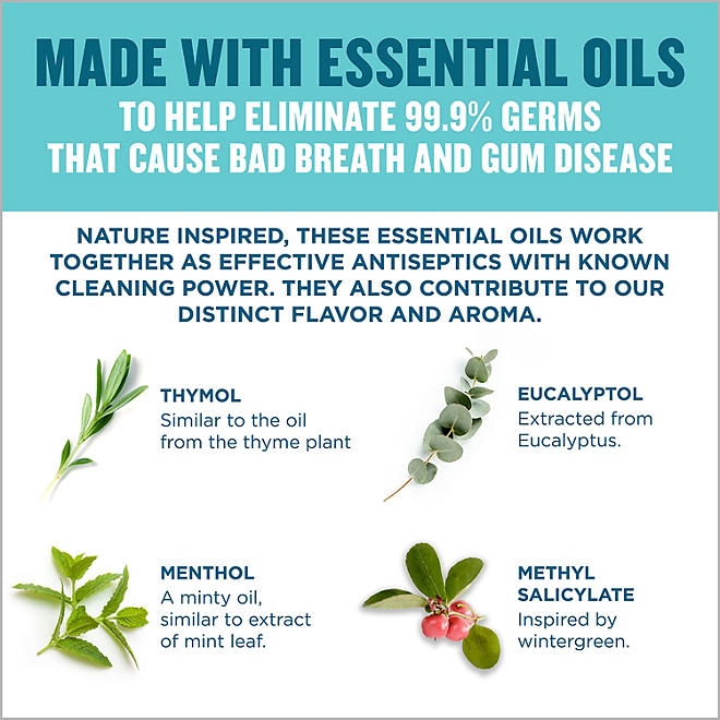 Listerine Cool Mint Antiseptic Mouthwash, 50.7 fl. oz., 2 pk. - Image 5