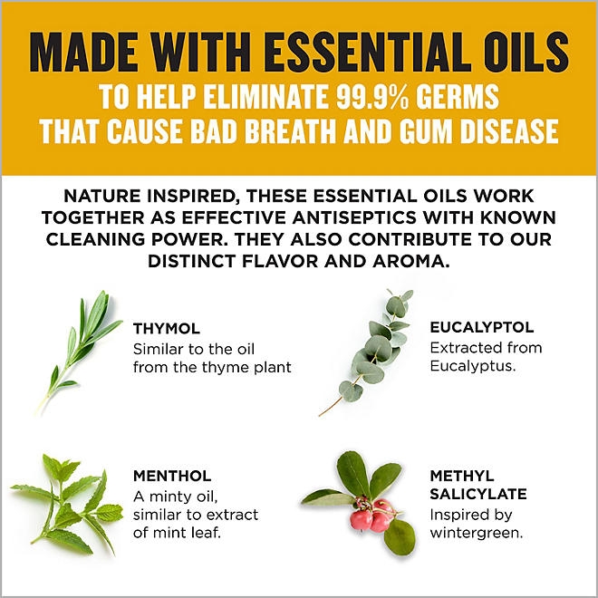 Listerine Antiseptic Original Mouthwash, 50.7 fl. oz., 2 pk. - Image 5