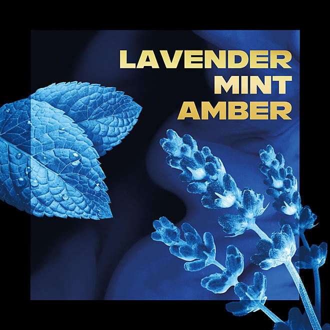 AXE Premium Deodorant Body Spray, Blue Lavender, 4 oz., 3 pk. - Image 6