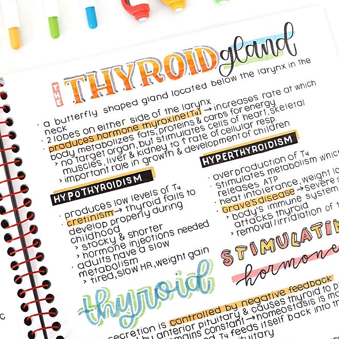 Mildliner Double Ended Highlighter Assorted 18 pk. - Image 6