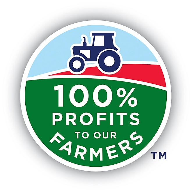 Ocean Spray Juice Drink Variety Pack 10 fl. oz., 18 pk. - Image 6