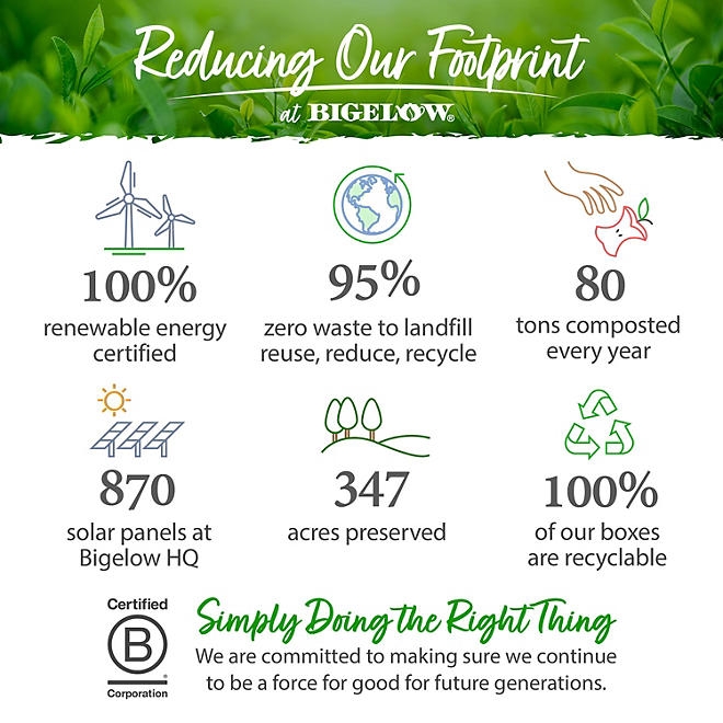 Bigelow Premium Organic Green Tea 160 ct. - Image 6