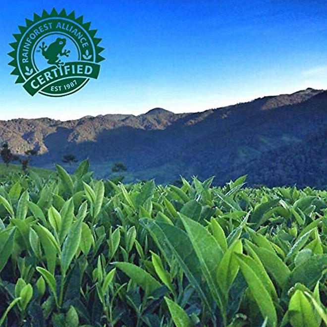 Pure Leaf Real Brewed Tea Sweet Tea 16.9 fl. oz., 18 pk. - Image 8