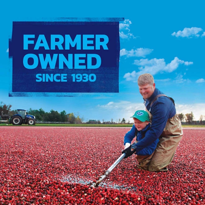 Ocean Spray Craisins, Original Dried Cranberries, 48 oz. - Image 7