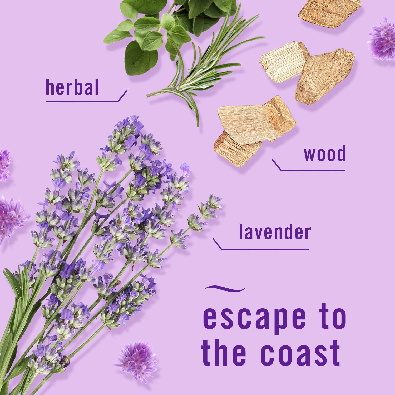 Febreze Plugs Air Freshener Refills (various scents) - Image 6