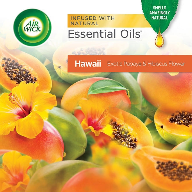 Air Wick Scented Oil Air Freshener Kit, Hawaii, 2 Warmers + 7 Refills - Image 3
