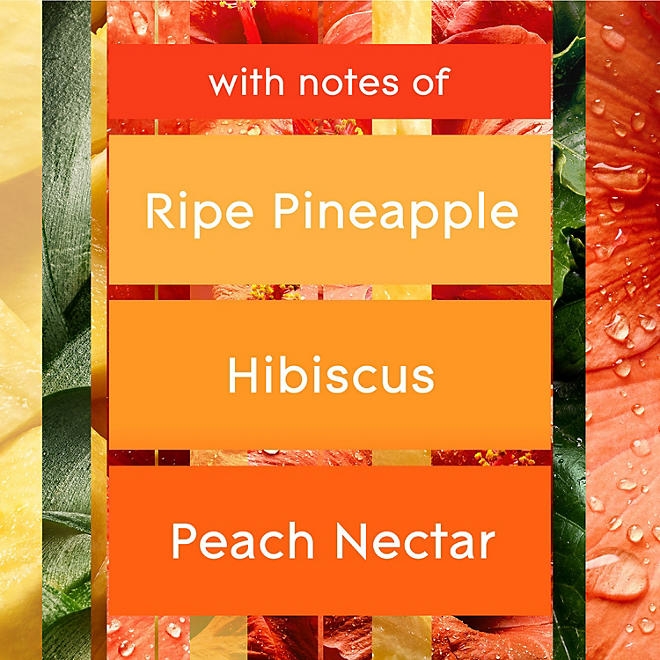 Glade PlugIns Scented Oil Refills, Hawaiian Breeze, 9 refills - Image 7